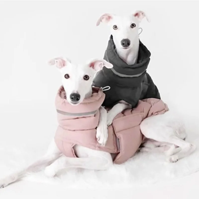 Ropa cortavientos para mascotas, chaqueta gruesa y cálida de invierno para perros pequeños y medianos, abrigos Whippet Greyhound, ropa para mascotas - imagen 4