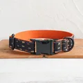 Dog Collar