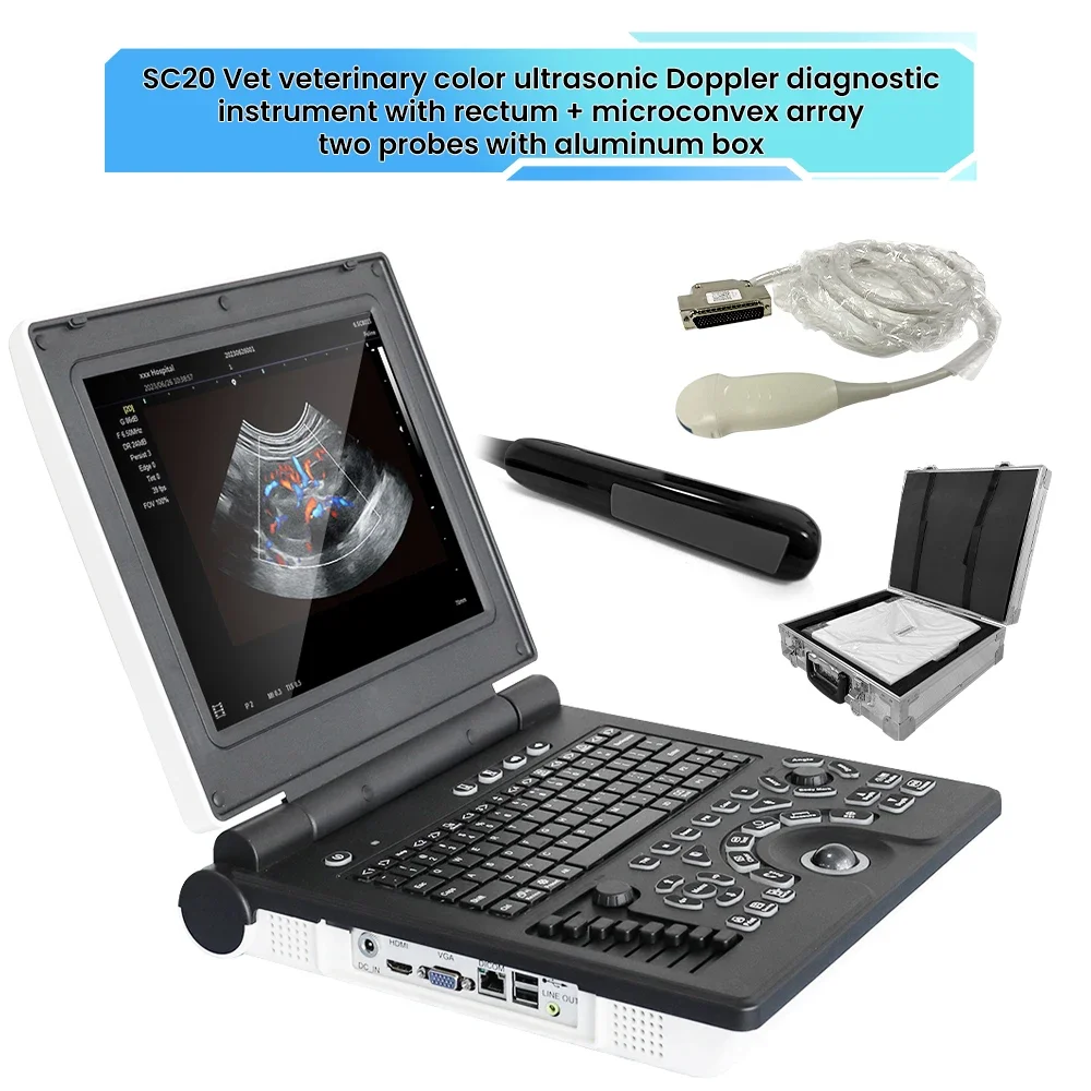 rectal  micro-convex