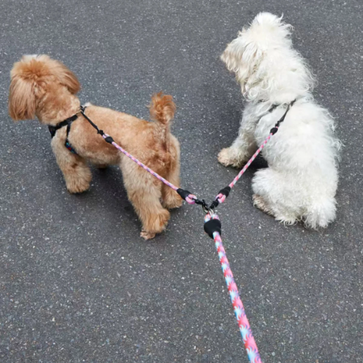 Cuerda para perro de doble cabeza para mascotas, patrón de onda, un remolque, dos cuerdas de plomo, antibobinado, extraíble - imagen 3