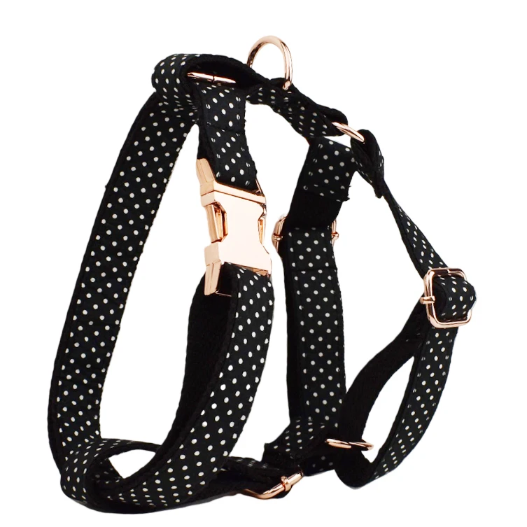 Harness