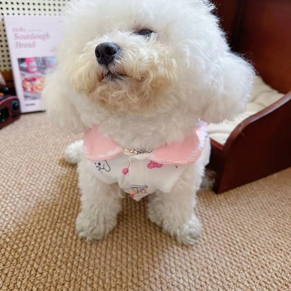 Gato perro princesa lindo Collar falda de burbuja ropa de otoño e invierno abrigo de peluche ropa para perros pequeños ropa para cachorros - imagen 2