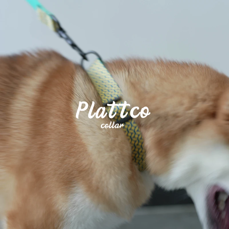 PLATTCO-collar para perros grandes, medianos y pequeños, de diseño único, MONEDAS DE SEGURIDADES con plástico negro más hebilla de aleación de zinc, 5 tamaños PDC30 - imagen 5