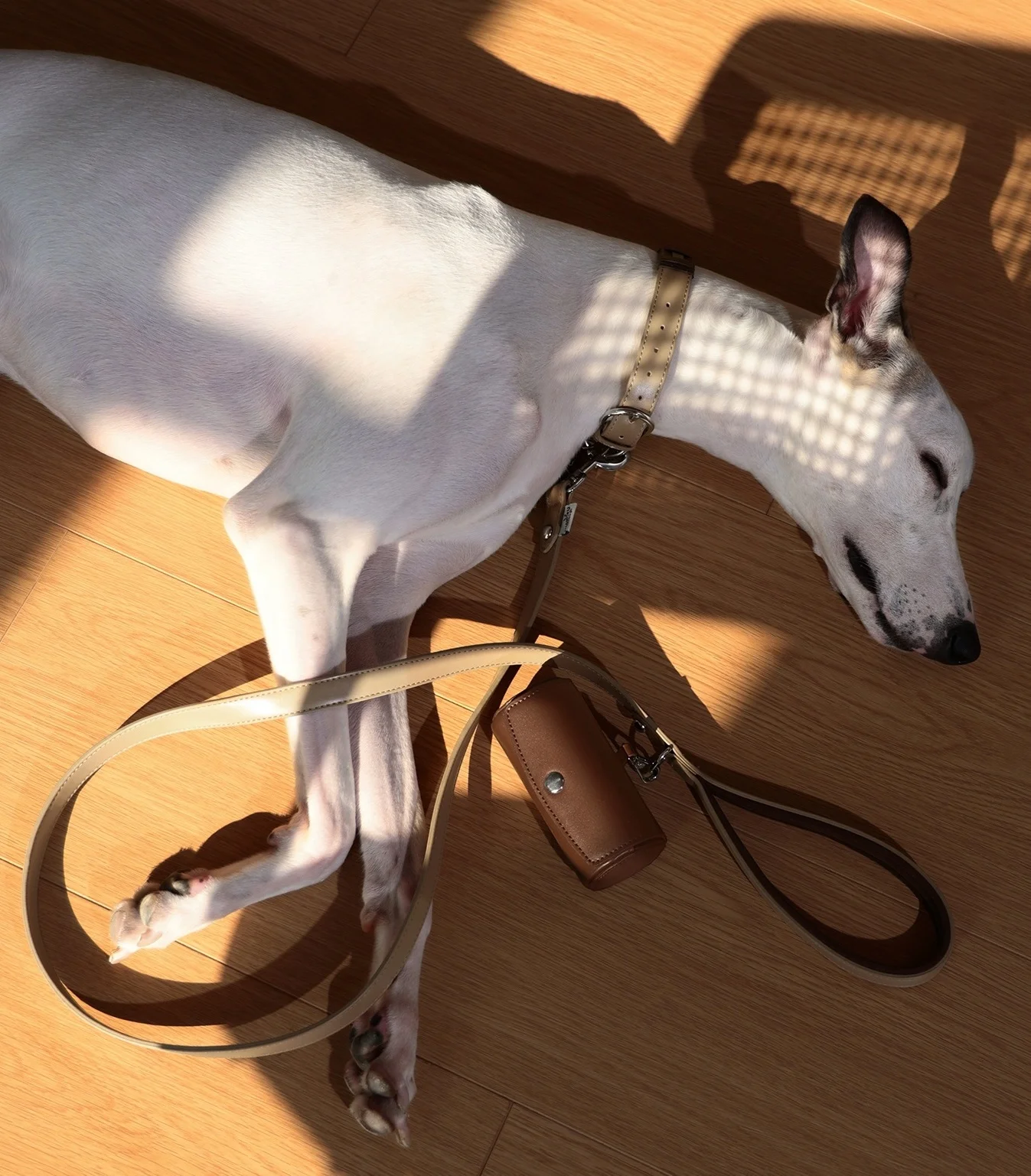 Collar de cuero para perro de lujo con correa y dispensador de bolsa para excrementos, Collar ajustable para mascotas, correa impermeable para perro con mango acolchado - imagen 5