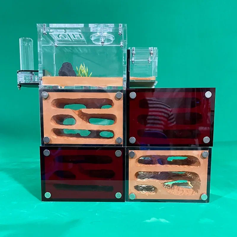 Granja de hormigas ecológica, expansión ilimitada, nido de hormigas, barro amarillo, hidrata, antill, casa de hormigas de granja, caja acrílica, perrera de hormigas, taller - imagen 4