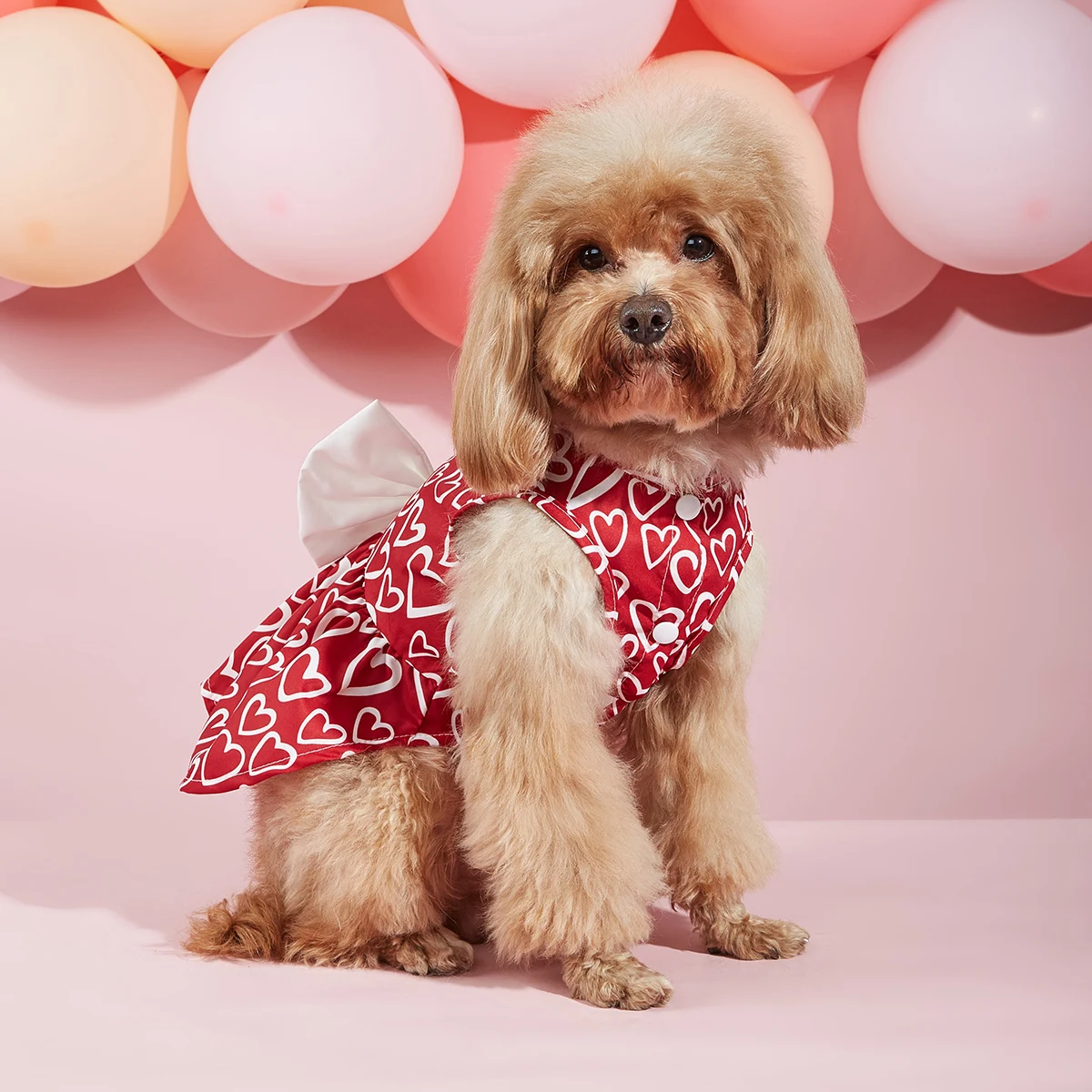 Ropa San Valentín corazones para perros pequeños y gatos - imagen 3