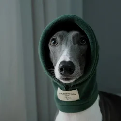 Gorro de lana alto para galgo italiano - Verde y gris