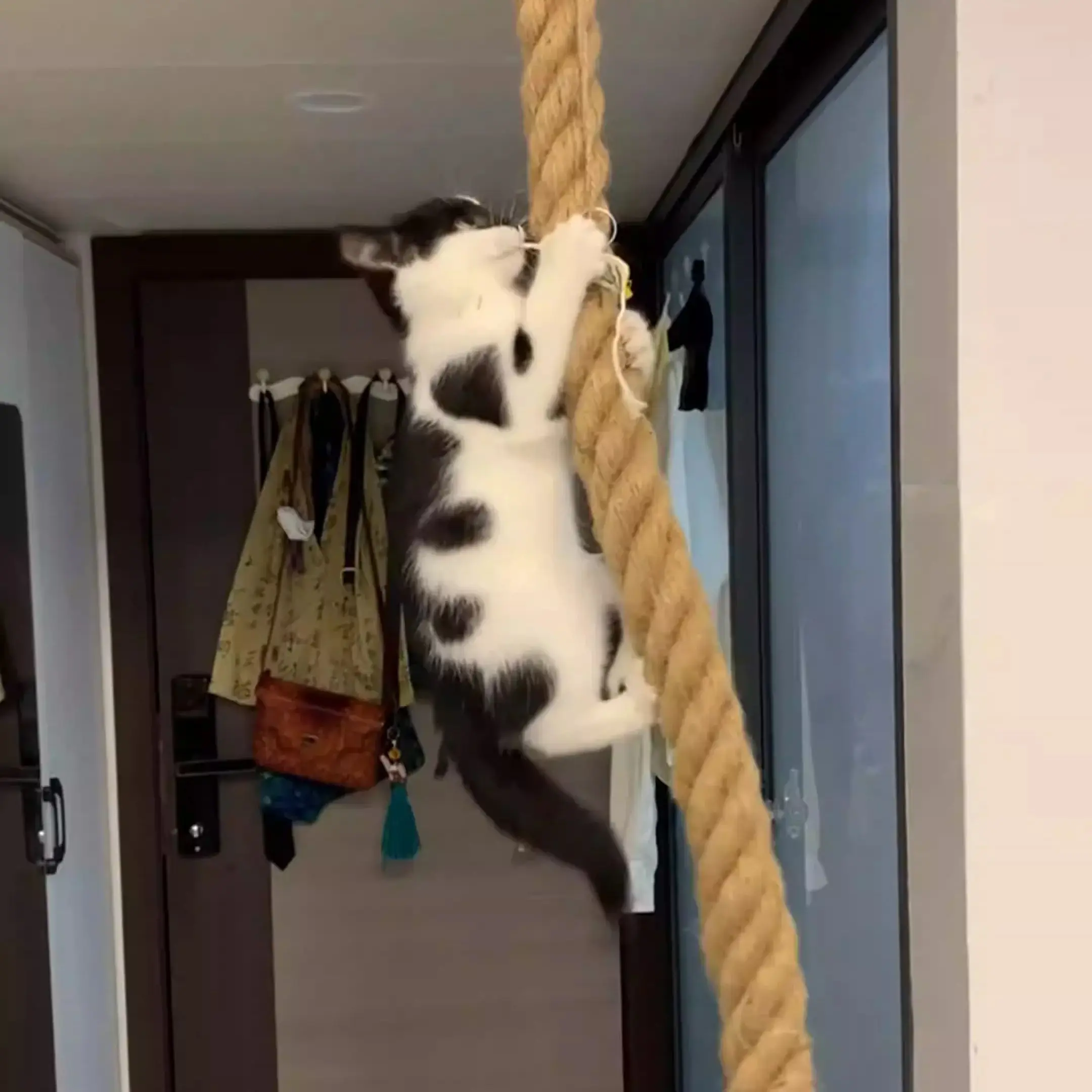 Cat Climbing Frame Wall-mounted at toy Sisal rope Hook-type cat furniture Suitable for training and claw sharpening
