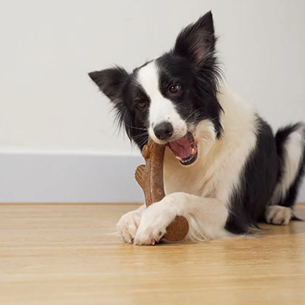 Juguete de limpieza de dientes con palo para masticar para perros, suministros duraderos y resistentes a masticar para mascotas, juguete de limpieza de dientes molares para cachorros pequeños y medianos - imagen 4