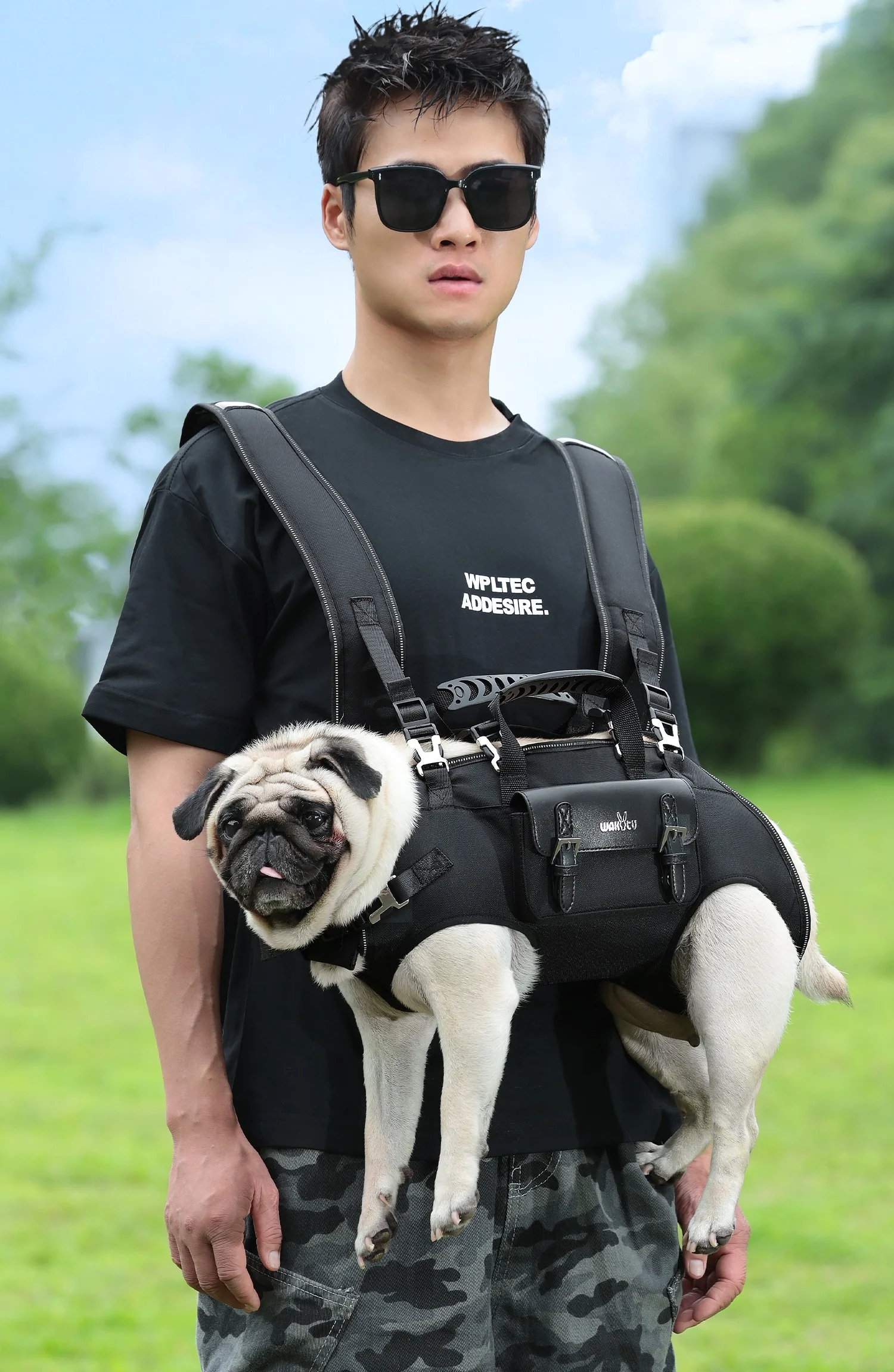 Arnés de elevación para perros, mochila para perros de cuerpo completo, arnés, mochila de emergencia para discapacitados, lesiones en las articulaciones antiguas, mochila para perros, bolsa transportadora para perros - imagen 2