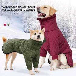 Chaqueta invierno impermeable para perros – Solapa, nieve y frío