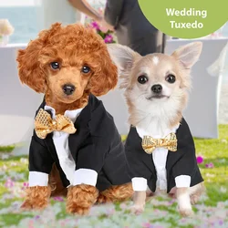 Camisa formal con lentejuelas doradas para perros pequeños