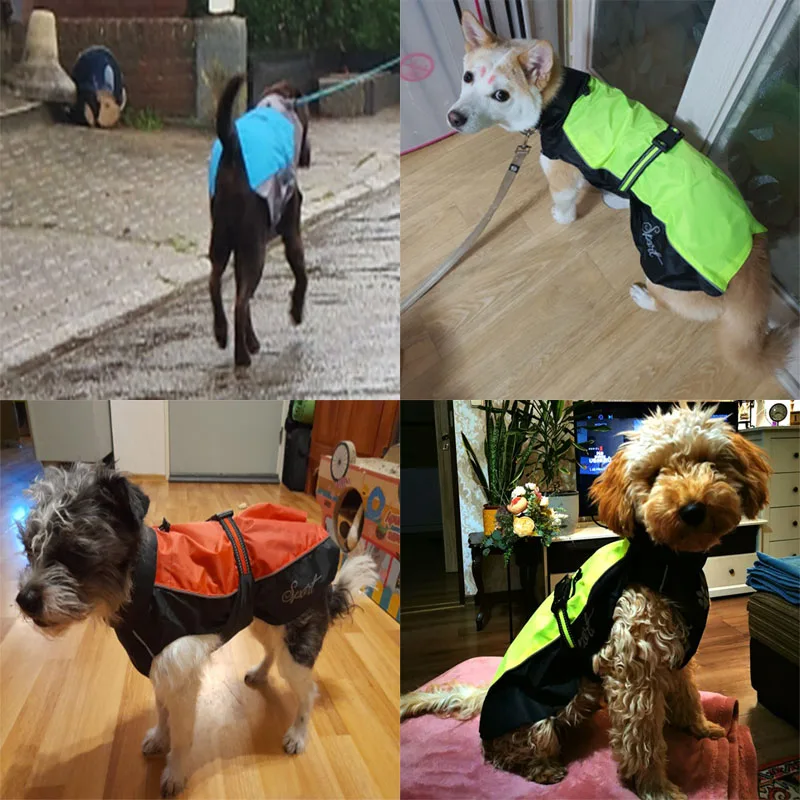 Chubasquero impermeable para perros, ropa impermeable reflectante para mascotas, chaquetas impermeables para Pug, ropa impermeable para mascotas, abrigo para Chihuahua y Pug, suministros para mascotas - imagen 3