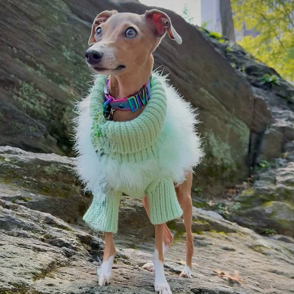 Suéter de felpa verde para Galgo Italiano y Whippet, cálido invierno - imagen 5