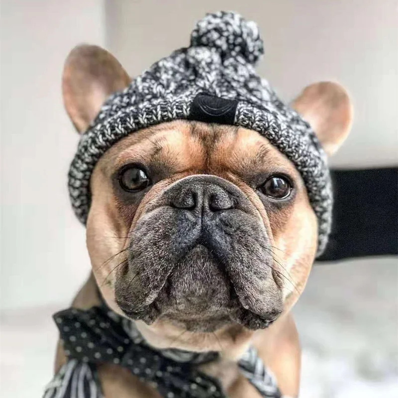 Gorros cálidos de invierno para perros, gorro de Bulldog Francés tejido a prueba de viento para perros, gorro para Chihuahua, gorro esponjoso para mascotas, accesorios para cachorros - imagen 5