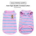 Pink and blue stripe
