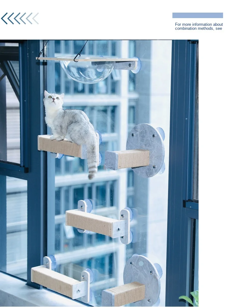 Un gato sentado en un árbol de madera