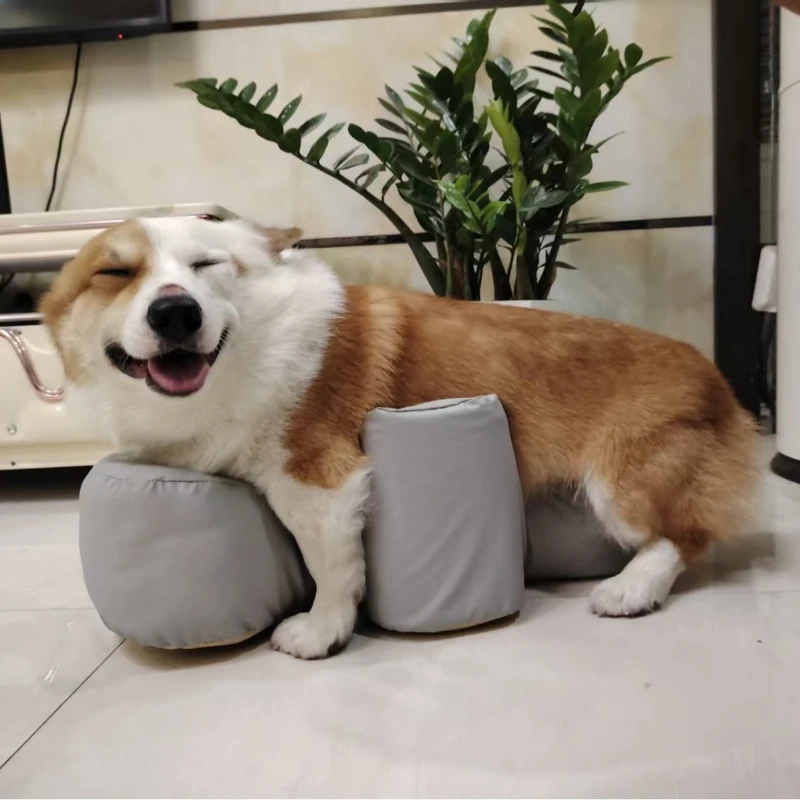 Cama ayuda para perros mayores – Base antideslizante para articulaciones y rehabilitación - imagen 2