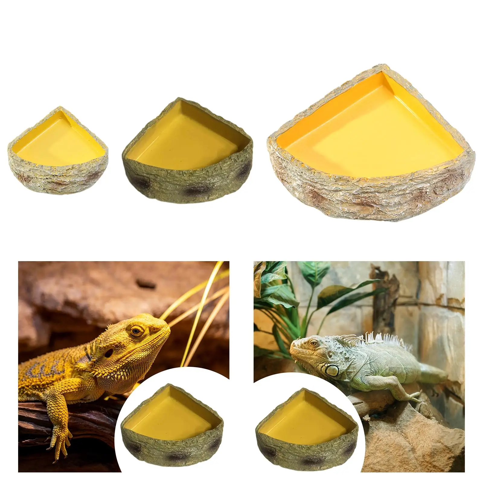 Comedero para reptiles: dragón barbudo, gecko y tortuga - imagen 5