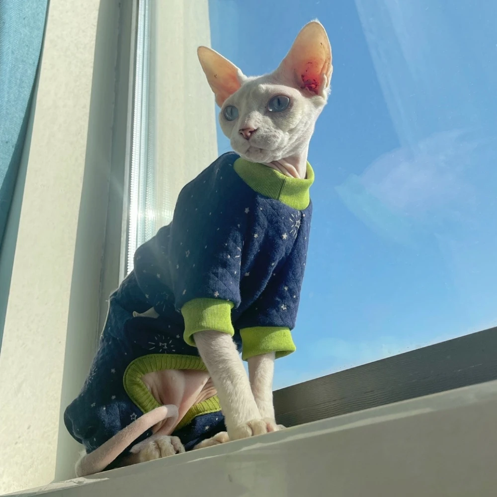 Sphynx Cat Clothes Blue Thick Cotton 4-legged Warm Loungewear para gatitos Perros pequeños Abrigo de invierno para Devon Rex Accesorios para gatos - imagen 5