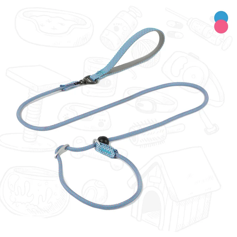 Cuerda redonda para perros, Collar de cadena P ligero para perros pequeños y medianos, correa para caminar, suministros para mascotas - imagen 2