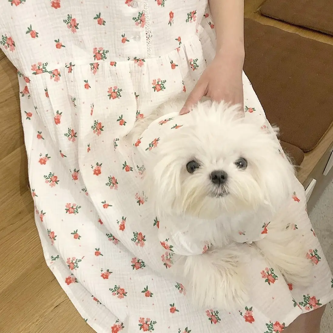 Vestido floral para perro y gato, adecuado Chihuahua - imagen 5