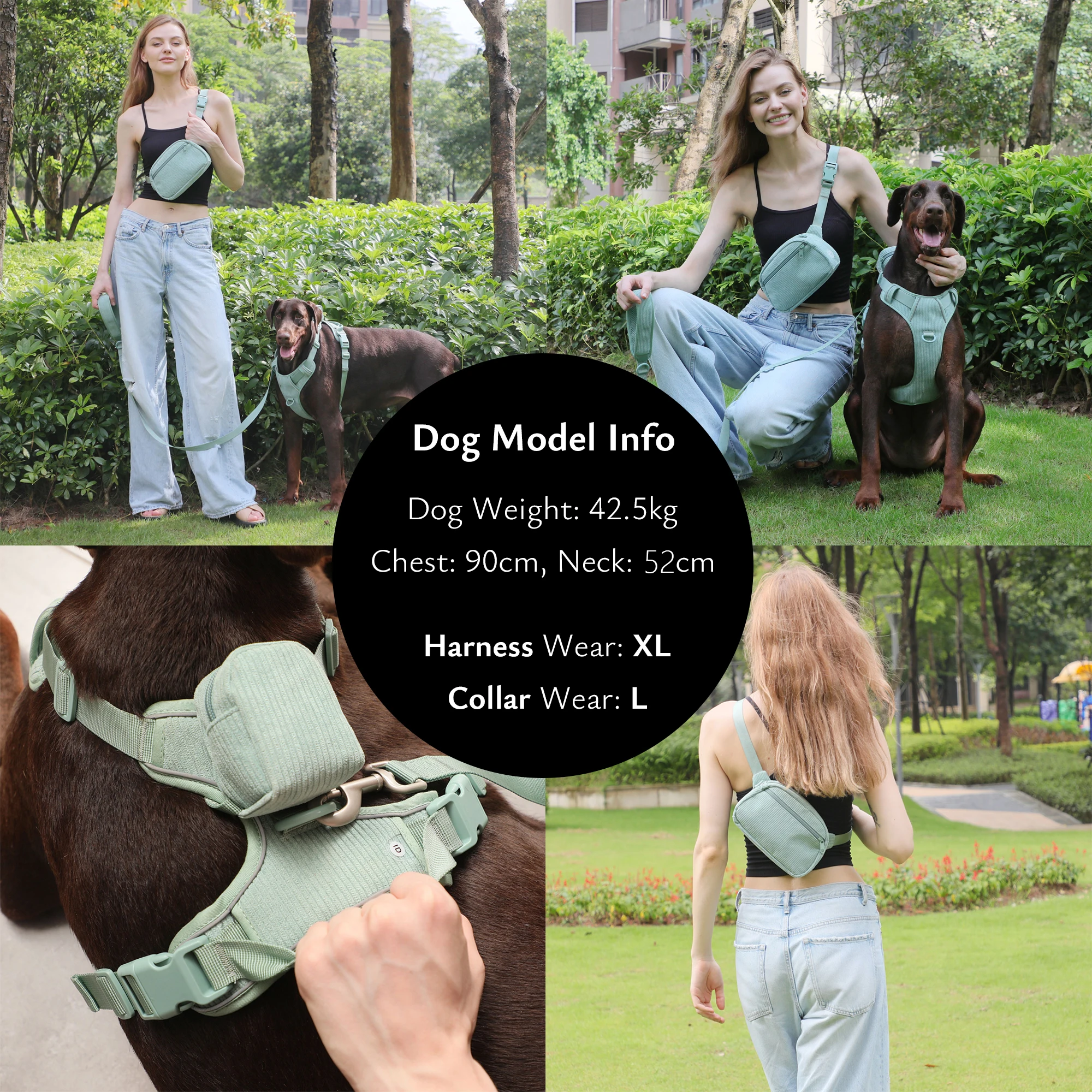 Collar de perro personalizado, arnés para perro grabado personalizado, Collar y correa de diseñador de pana ligera, conjunto acolchado totalmente ajustable - imagen 5