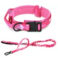 Collars and leashes