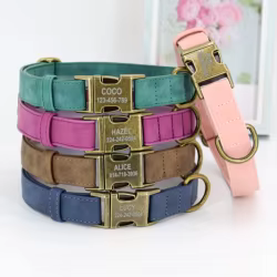 Collar de perro personalizado ajustable para Pug, pequeños y medianos