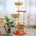 T-80666 Orange red