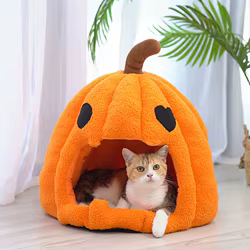 Cama nido calabaza para gatos y perros pequeños – Cueva acogedora con cojín extraíble