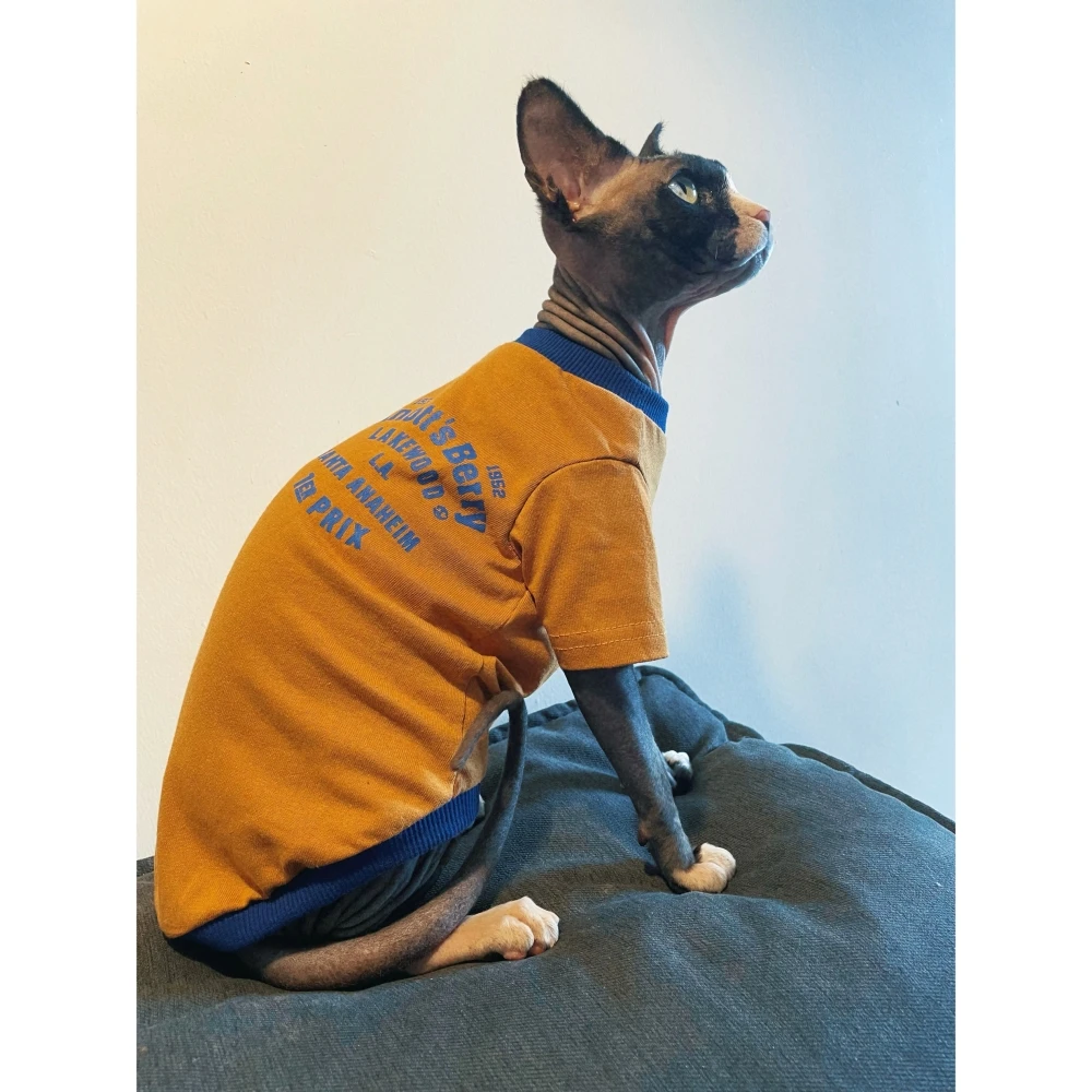 Sphyinx Cat Creative divertida mariquita Camiseta Chaleco de algodón para ropa de gato Abrigo Devon Rex Ropa de verano primavera para gatitos perros - imagen 5