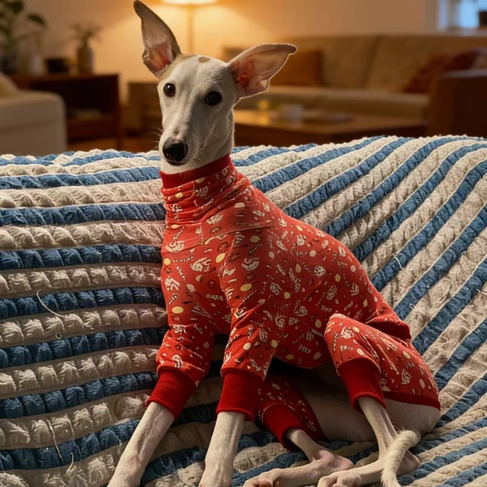 Abrigo de algodón para galgo italiano y Whippet – Cuello alto primavera y otoño - imagen 5