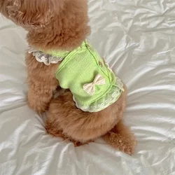 Conjunto de ropa con encaje para gatos y perros pequeños – Primavera/Verano