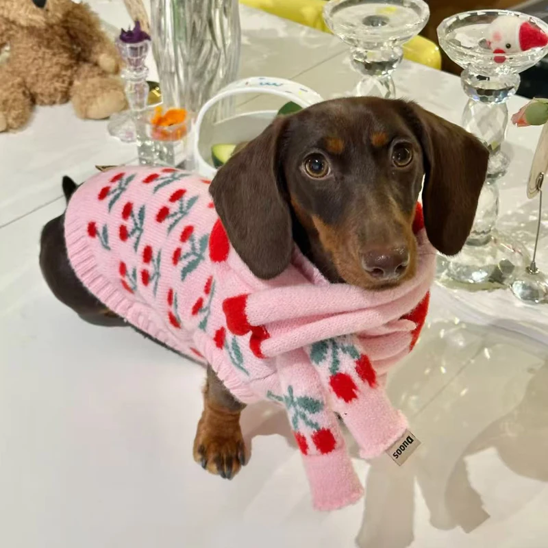 Ropa dulce para perros salchicha en invierno, suéter Floral rosa para perros Wiener femeninos, abrigo cálido de manga corta para perros tejón