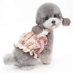 Vestido con farol para perros – Ideal para bodas y celebraciones