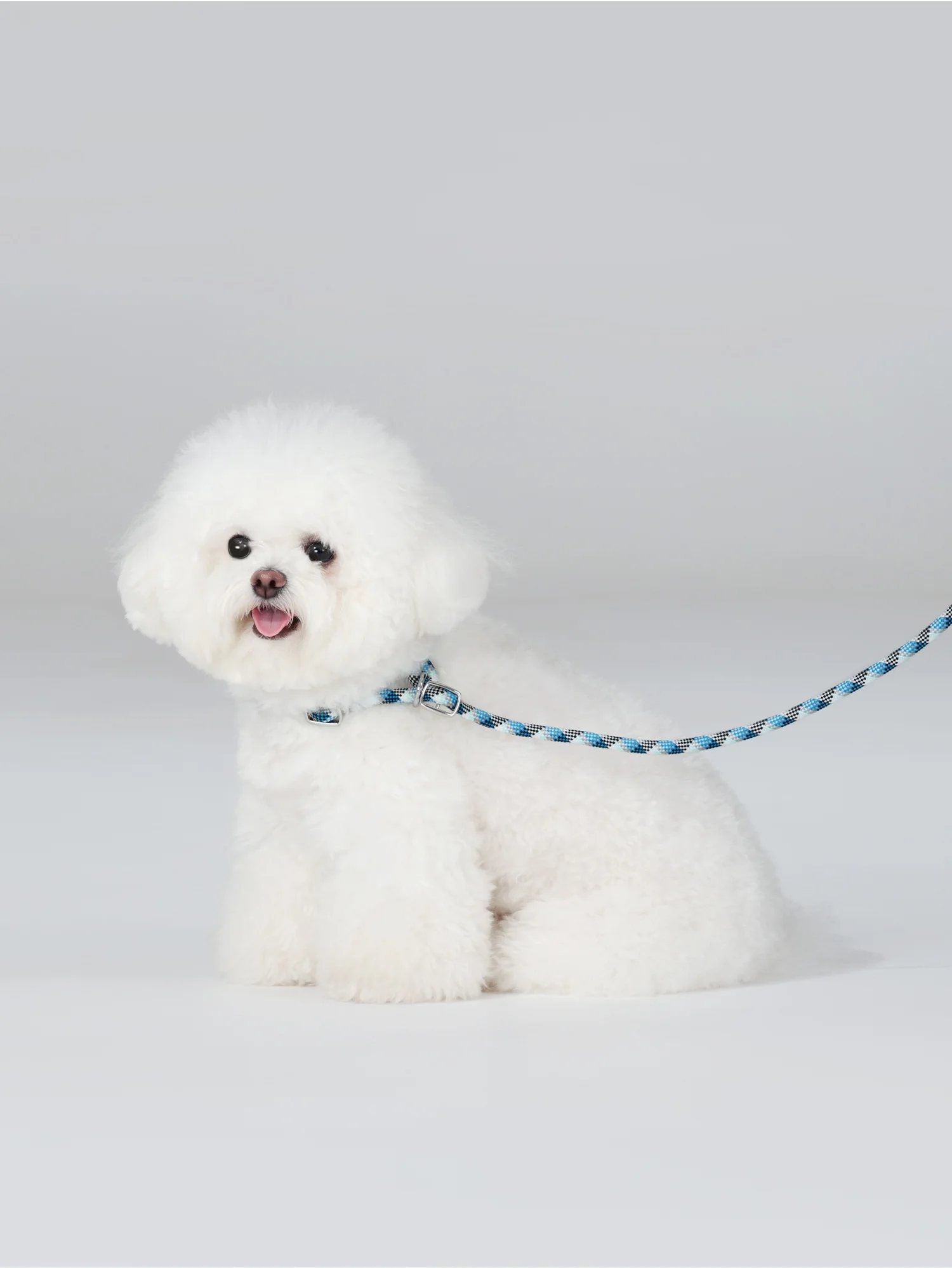 Correa P de lujo para mascotas con bolsa de almacenamiento, collar para perros con correa, correa de entrenamiento para mascotas, correa para caminar ajustable para mascotas sin tirones azul - imagen 3