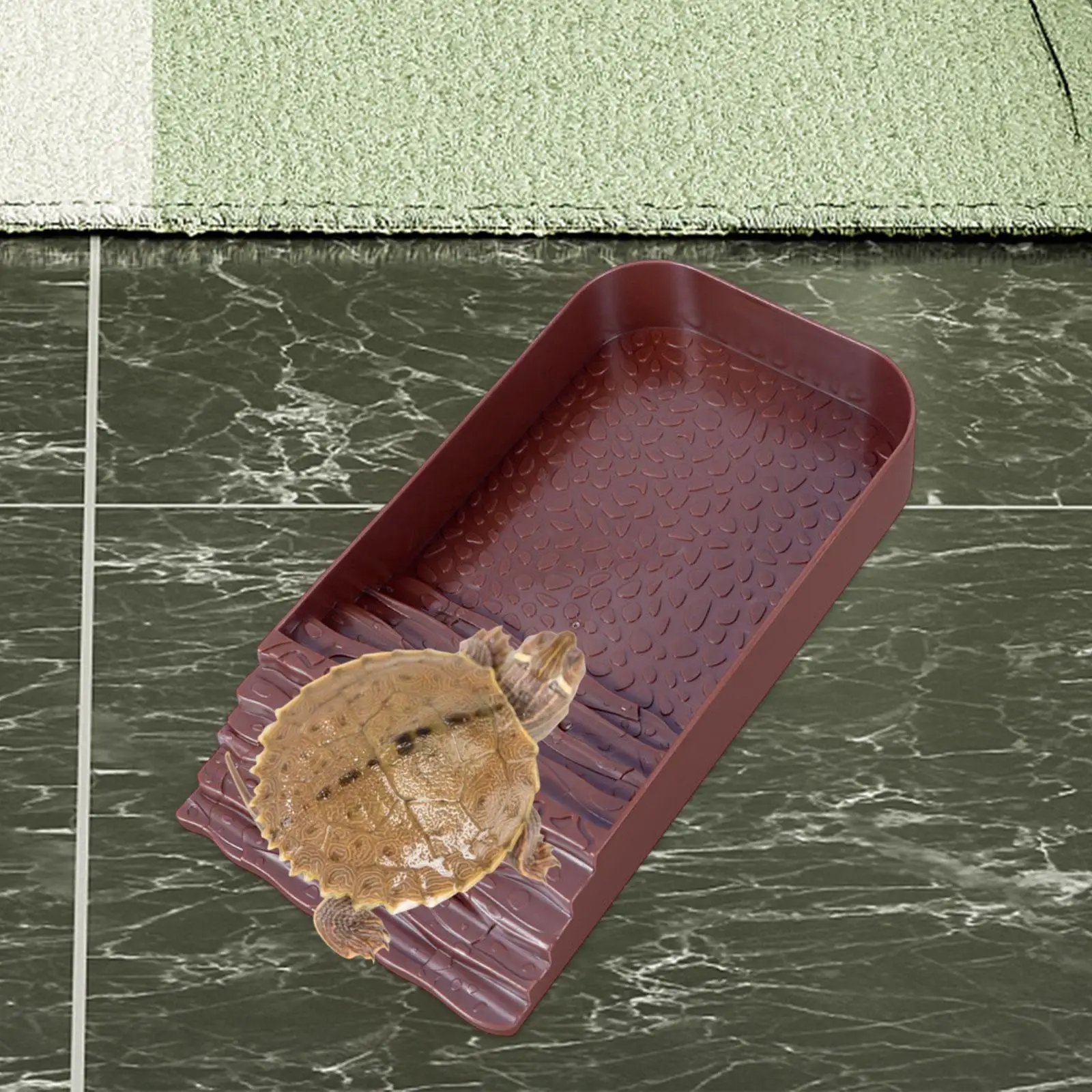 Turtle Food Bowl Tortoise Feeder Reptile Bath Pool for Scorpion Gecko Snake