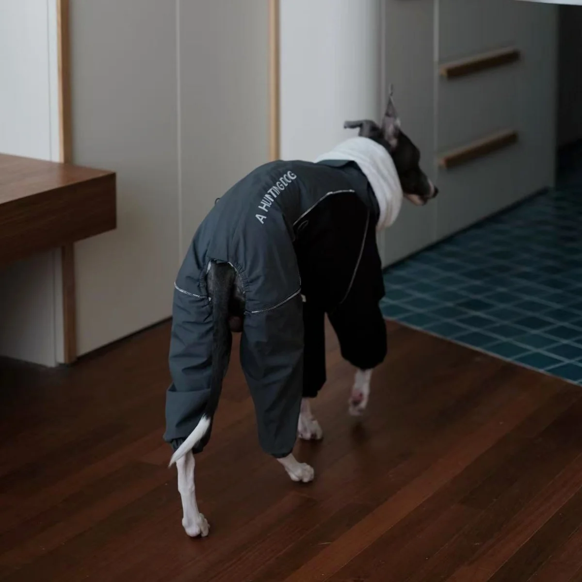 Chaqueta de forro polar grueso gris oscuro de cuatro patas de invierno con cremallera en la parte posterior para galgos italianos, a prueba de viento, impermeable y cálido, abrigo rosa con pecho ajustable para perros. - imagen 3