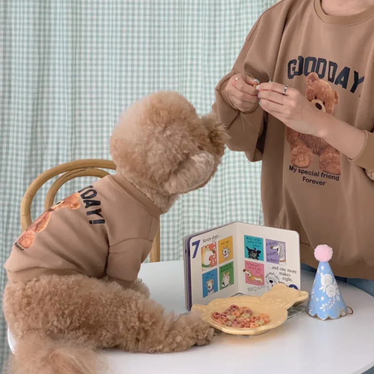 Ropa Patrón Oso Perros CDDMPET - imagen 4