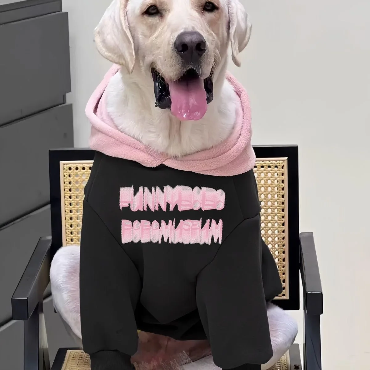 Sudaderas con capucha para perros a la moda, ropa de otoño e invierno para perros medianos y grandes, jersey con capucha, abrigo, sudadera para perros, ropa para mascotas al aire libre - imagen 2