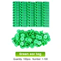 Ear tag green