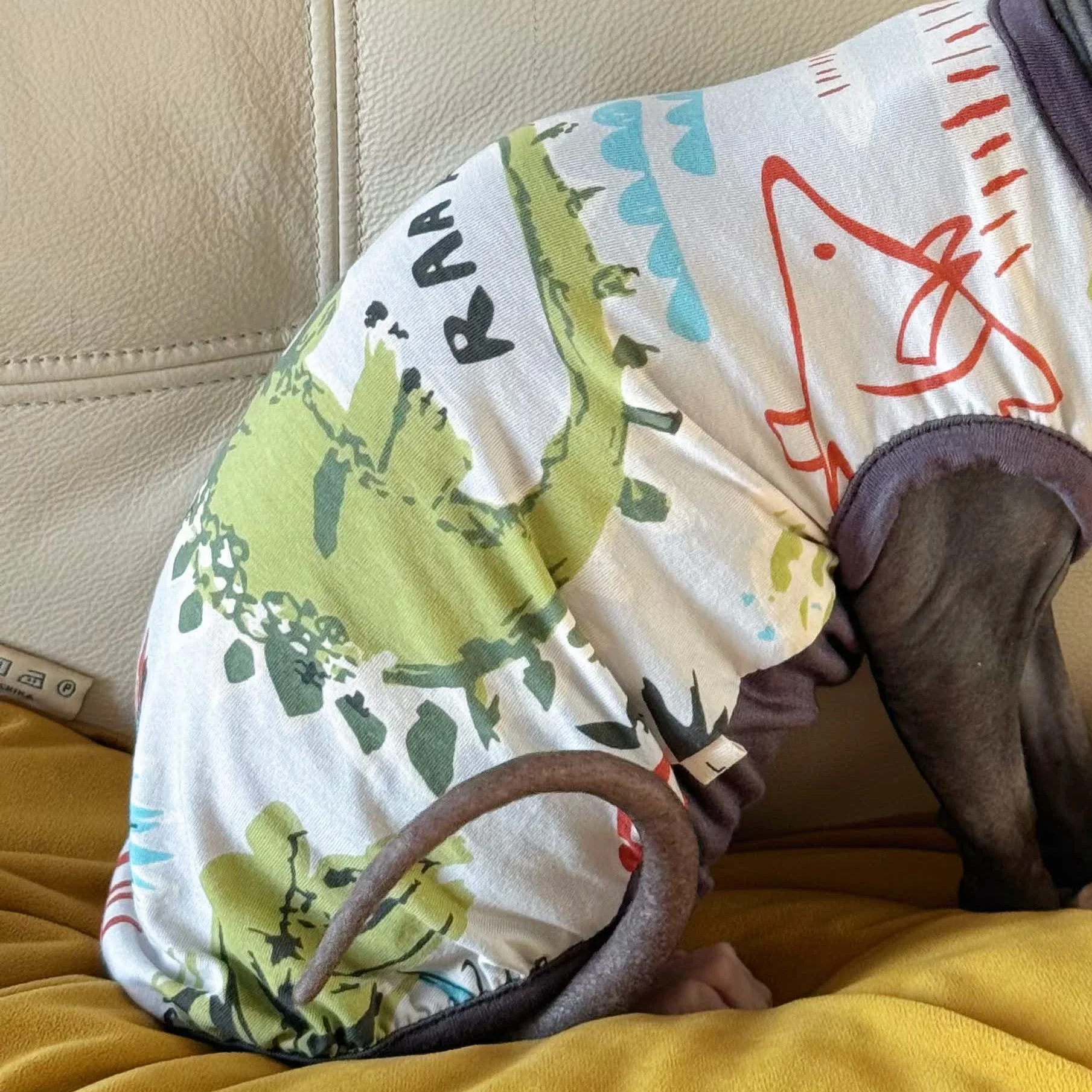 Chaleco sin mangas de algodón ligero para gatos Devon Rex y Sphynx - imagen 5