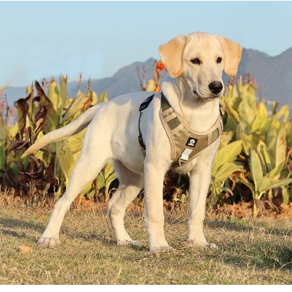 Arnés reflectante ajustable para perros medianos y grandes, tela Oxford del ejército Labrador, chaleco para mascotas, entrenamiento, perro, caminar - imagen 5