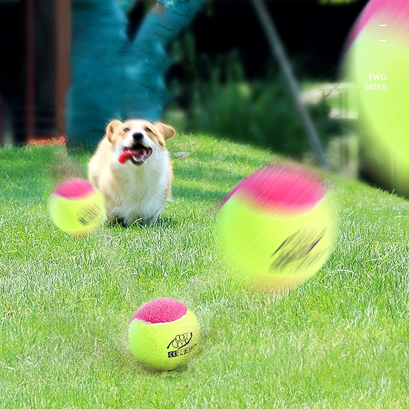 HOOPET-pelota de juguete interactiva para gatos, pelota para masticar y rascar, suministros de entrenamiento para mascotas, accesorios para mascotas - imagen 4