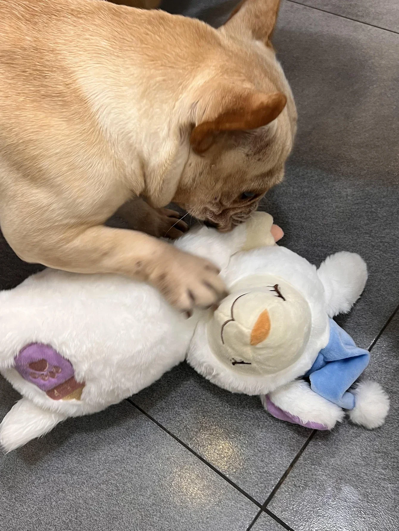 Juguetes de latido del corazón para cachorros de oveja de Navidad, juguetes de latido del corazón de perro para aliviar el sueño, juguetes de gatito para cachorros con latidos del corazón, Animal de peluche - imagen 5