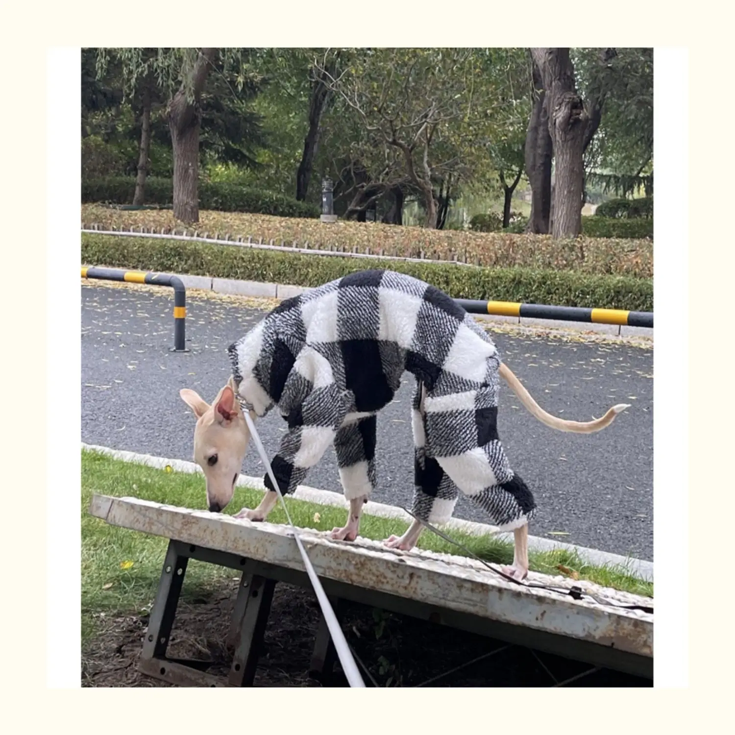 Ropa de terciopelo a cuadros de doble cara para cachorros, ropa cálida y suave para perros pequeños y medianos, adecuada para galgos/whippets en invierno - imagen 3