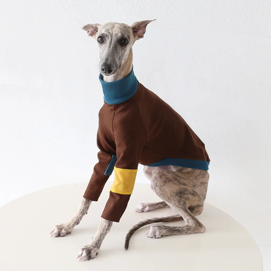Suéter de punto de invierno para perros Whippet - Manga larga, cómodo - imagen 2
