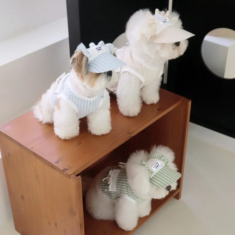Ropa para perros con sombrero, conjunto de chaleco para mascotas, camiseta a rayas para perros, disfraz bonito para cachorros y gatitos, Chihuahua Bichon, ropa refrescante para niñas con hebilla - imagen 5
