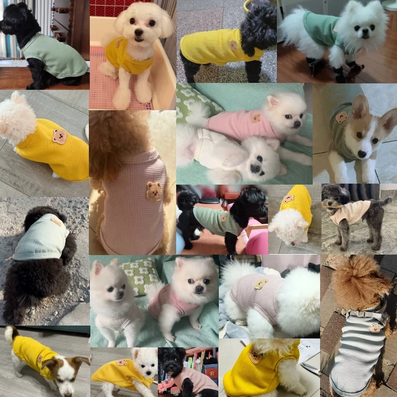 Ropa para mascotas, camiseta para perros y gatos, chaleco tipo gofre transpirable, suministros para cachorros y gatitos, ropa para Chihuahua, Bulldog Francés, primavera y verano - imagen 2